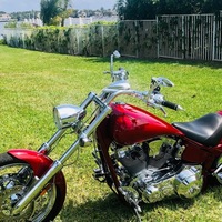 2006 IRON HORSE SLAMMER, 11