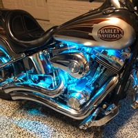 2004 Harley-Davidson Softtail Deuce, 2