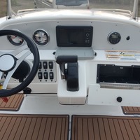 2017 Hurricane 231 SS, 12