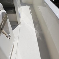 2015 Boston Whaler 240 Dauntless, 19