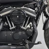 2022 Harley-Davidson Sportster Iron 883, 6