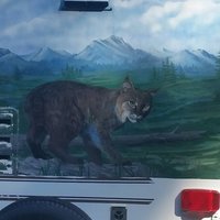 2006 Forest River M-28RK Wildcat, 3