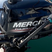 2019 West Marine RIB-310 Double Floor Hypalon, 1