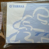2009 Yamaha TT-R110EY, 0
