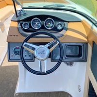 2015 Sea Ray 240 Sundeck, 10
