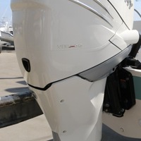 2015 Boston Whaler 240 Dauntless, 10