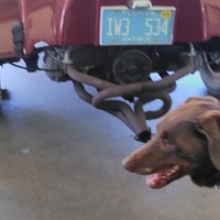 1969 VW (beatle) Dune Buggy, 1