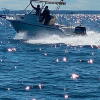 2003 Sea fox Sea fox 23, 4