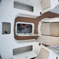 2017 Hurricane 231 SS, 8