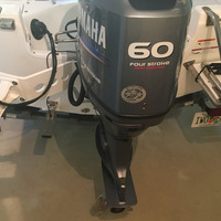 2008 Triumph Boats 17 DC, 3