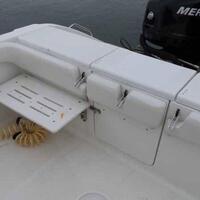 2006 Triton Boats 2690 CC, 10