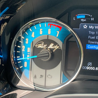 2019 Ford Shelby F-150, 28