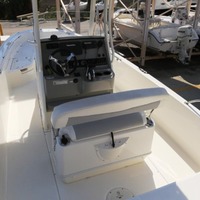 2015 Boston Whaler 240 Dauntless, 26