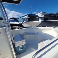 2005 Boston Whaler 210 Outrage, 11