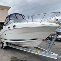 2008 Sea Ray 260 Sundancer, 1