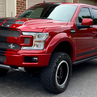 2019 Ford Shelby F-150, 0