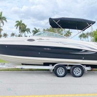 2006 Sea Ray 240 Sundeck, 0