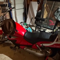 2008 Q Link Legacy 250, 2