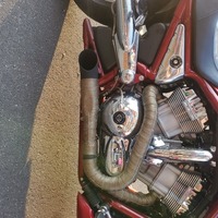 2005 Harley-davidson Cvo screamin eagle v-rod vrscse, 4