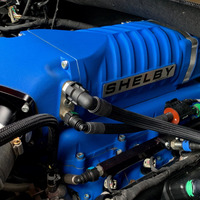 2019 Ford Shelby F-150, 15