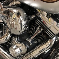 2004 Harley-Davidson Softtail Deuce, 5