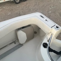 2016 Pioneer 222 Sportfish, 4