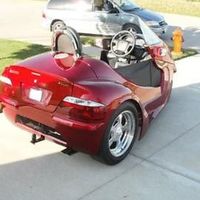 2009 Thoroughbred Stallion, 3
