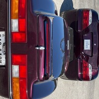 2009 Thoroughbred Motorsports Stallion, 6