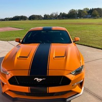 2019 Ford Super charged 800+ HP Mustang GT, 0