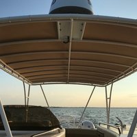 2000 World Cat 266 Leisure Cat, 14