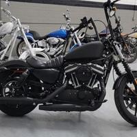 2022 Harley-Davidson Sportster Iron 883, 0
