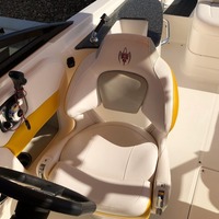 2009 Chaparral Sunesta 244 Xtreme, 5