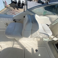 2006 Sea Ray 270 Amberjack, 10