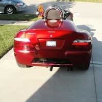 2009 Thoroughbred Stallion, 2
