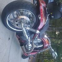 2005 Harley-davidson Cvo screamin eagle v-rod vrscse, 0