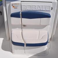 2017 Robalo R302, 19