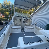 2003 Sea fox Sea fox 23, 8