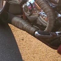 2005 Harley-davidson Cvo screamin eagle v-rod vrscse, 7