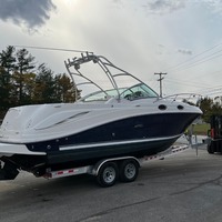 2006 Sea Ray 270 Amberjack, 1